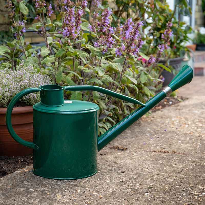 Kent & Stowe Long Reach Metal Watering Can (9L) image 0