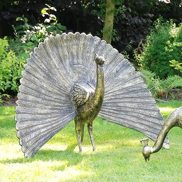 Home & Garden UK Head Up Peacock Garden Statue image 0