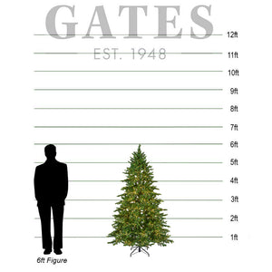 Everlands Galloway Spruce / Denver Spruce Pre-Lit Christmas Tree - 6ft image 1