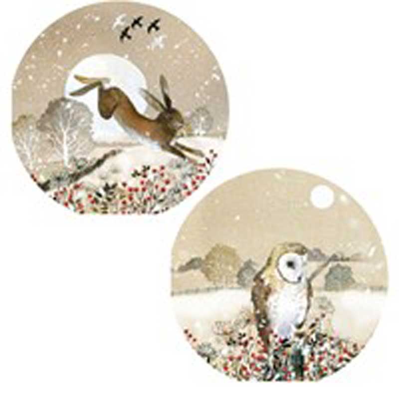 RSPB Luxury Circular Christmas Cards - Moonlit Winter (Pack of 10) image 0