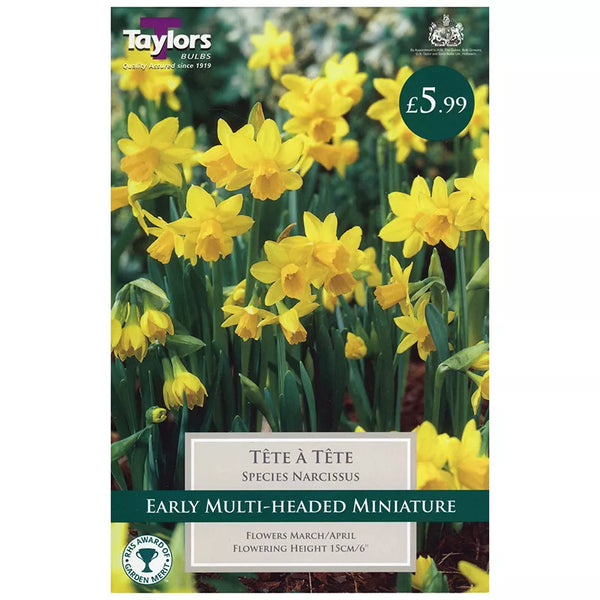 Narcissus ‘Tête-à-tête’ Daffodils (18 bulbs) image 0