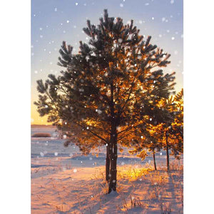 Ling Design Big Value Box - Winter Scenes (Pack of 24) image 3