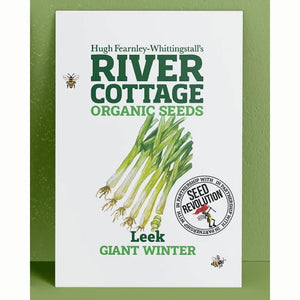 River Cottage Organic Seeds – Leek ‘Giant Winter’ (1 Packet) image 0