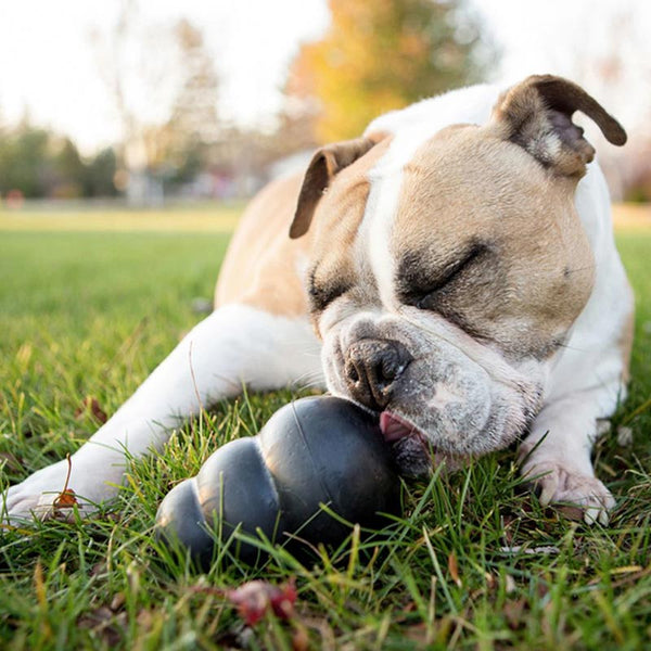 Kong Extreme Treat Dispensing Dog Toy image 2