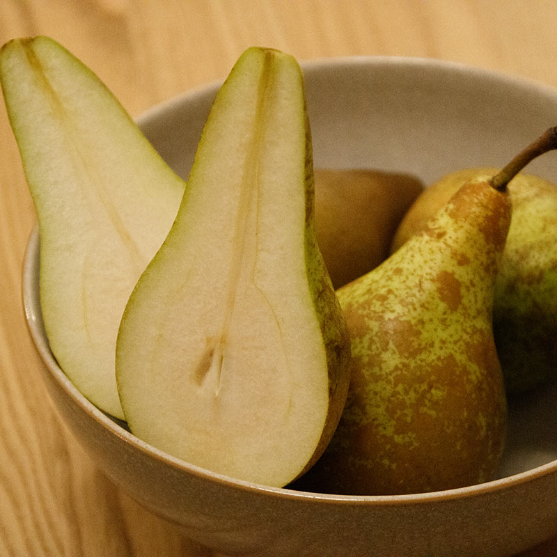 Pyrus ‘Prince William’ Dwarf Pear Tree (5.5-Litre Pot) image 0