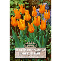 Tulip 'Greetje Smit' (10 bulbs) image 0