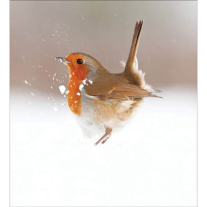 Woodmansterne Charity Christmas Cards - The Magic of Winter (Pack of 5) image 0