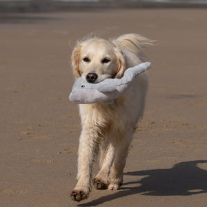 Petface Wolly Whale Plush Dog Toy image 3