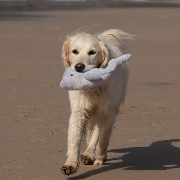 Petface Wolly Whale Plush Dog Toy image 3