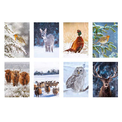 Ling Design Big Value Box - Christmas Animals (Pack of 24) image 0