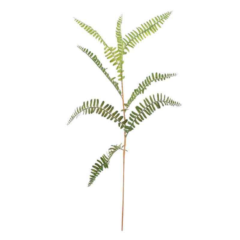 Mini Fern Spray (72cm) image 0