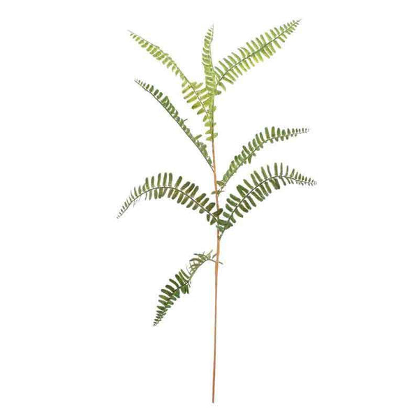 Mini Fern Spray (72cm) image 1