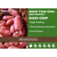Manitou Main Crop Seed Potatoes (2kg Bag) image 0