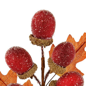 Premier Acorn Pick (Assorted Designs) image 3