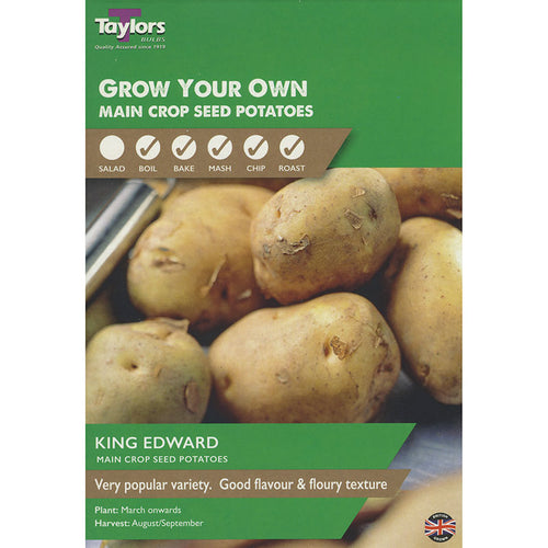 King Edward Main Crop Seed Potatoes - Pack of 10 image