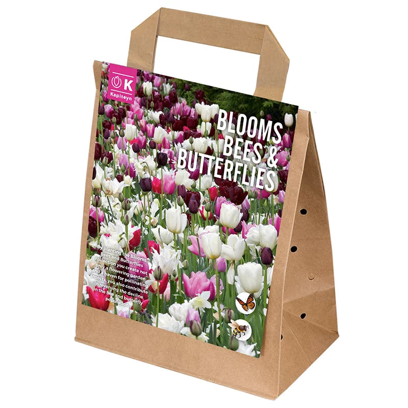 Blooms, Bees & Butterflies 'Pink Shades' Bulb Mix (25 bulbs) image 0