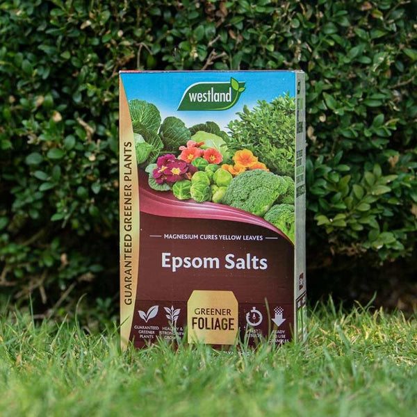 Westland Epsom Salts (1.5kg) image 3