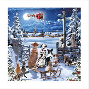 Woodmansterne Looking Up At Santa Christmas Card