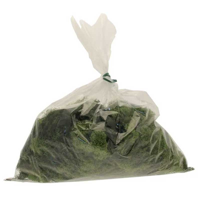 APAC Light Green Reindeer Moss (500g) image 0