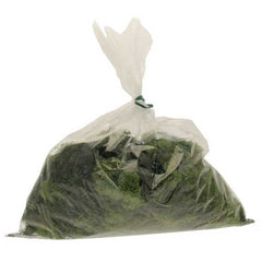APAC Light Green Reindeer Moss (500g) image 0