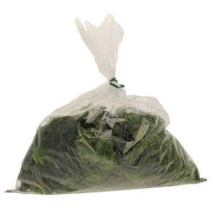 APAC Light Green Reindeer Moss (500g) image 0