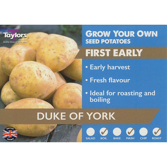 Duke of York First Early Seed Potatoes (2kg Bag) image 0