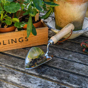 Burgon & Ball RHS Stainless Steel Planting Trowel image 2
