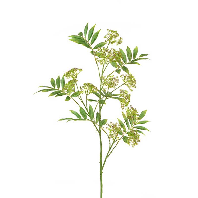 Floralsilk Anethum Spray (117cm) image 0