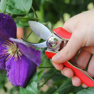 Darlac Mini Bypass Pruner image 1