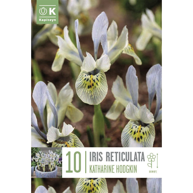 Iris ‘Katharine Hodgkin’ (10 bulbs) image 0