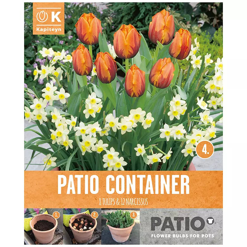 Tulip & Narcissus Patio Container Collection 'Orange, Yellow & White' (20 bulbs) image 0