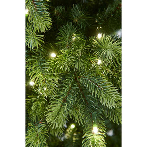 Bosk Oakley Fir Pre-Lit Christmas Tree - 6.5ft image 3