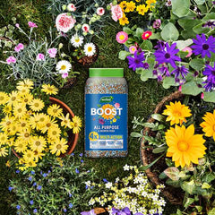 Westland Boost All Purpose Slow Release Plant Feed (750g) image 0