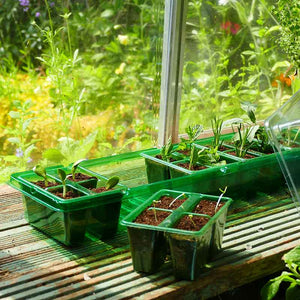 Gro-Sure Visiroot Windowsill Propagator image 1