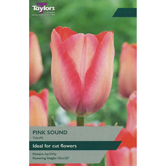 Tulip 'Pink Sound' (8 Bulbs) image 0