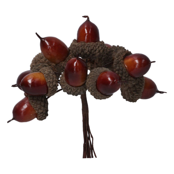 Gisela Graham Brown Acorn Picks image 0