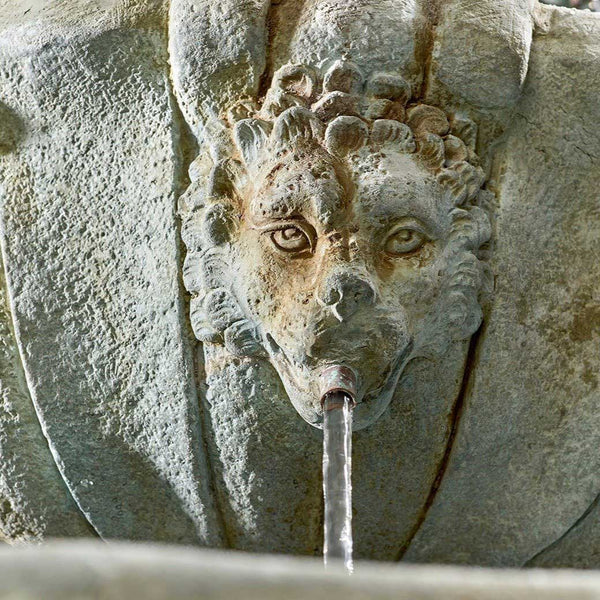 Easy Fountain Impressions Lioness Water Feature image 3