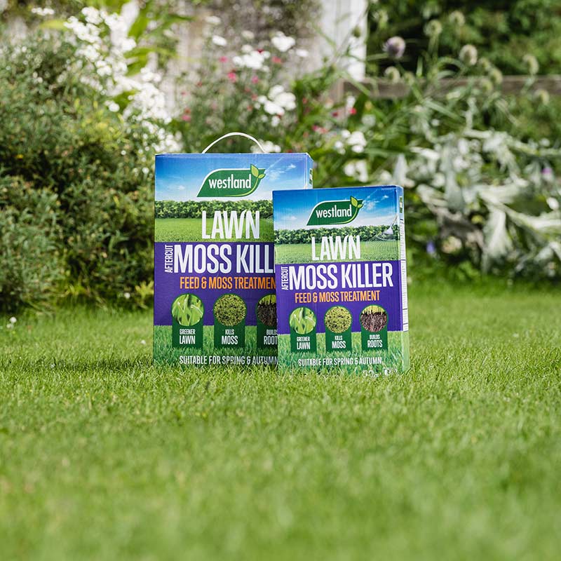 Westland Aftercut Moss Killer image 0
