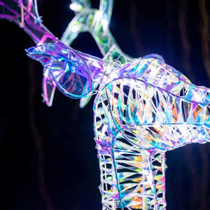 Bosk Iridescent Reindeer &amp; Sleigh image 3