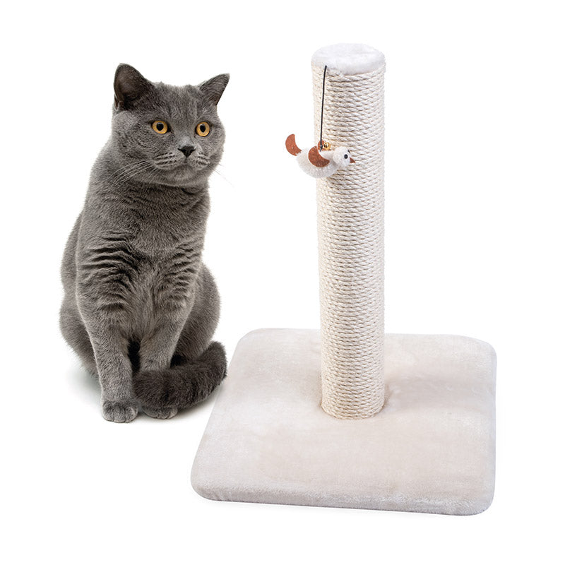 Zoon Deluxe Scratch Post image 0