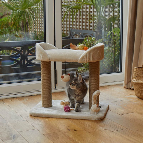 Zoon Deluxe Dual-Deck Scratch Post image 1