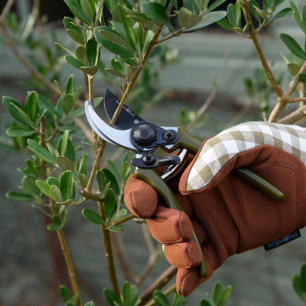 Burgon & Ball The Collector Range Olive Green Micro Secateurs image 3