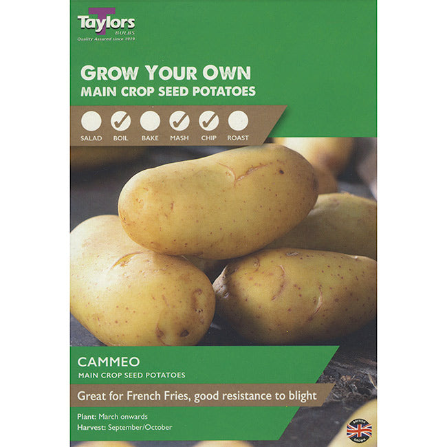 Cammeo Main Crop Seed Potatoes (Pack of 10) image 0