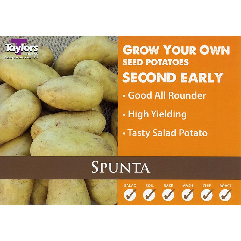 Spunta Second Early Seed Potatoes (2kg Bag) image 0