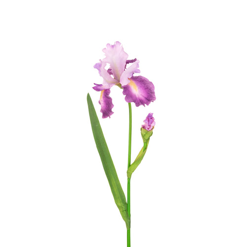 Floralsilk Flag Iris Stem (90cm) image 3
