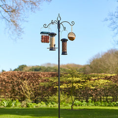 Tom Chambers Banquet Bird Feeding Station image 0
