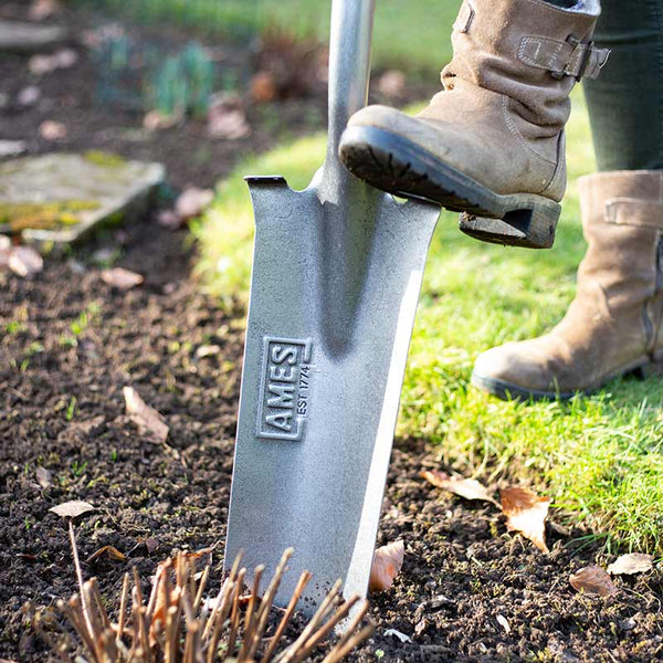 Ames Planting Spade Carbon Steel image 1
