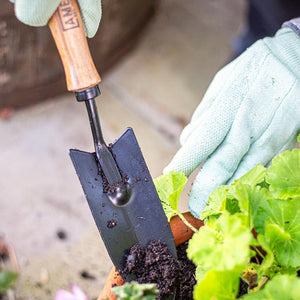 AMES Hand Transplanter Carbon Steel image 2