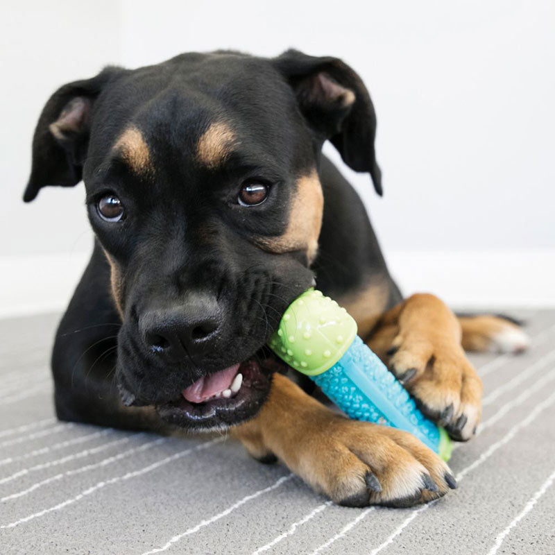 Kong CoreStrength Bone Dog Toy image 0