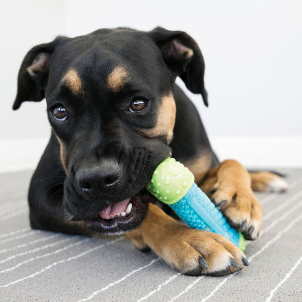 Kong CoreStrength Bone Dog Toy image 1